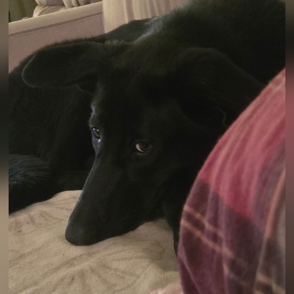 TAKE 50% Off EVERTHING! SEND ME BUNDLE! Like For Showtimes And Specials! - Picture 9 of 12